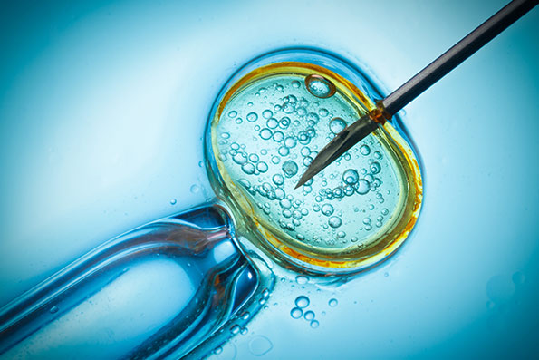 6 dados sobre a implantação embrionária que qualquer casal que queira engravidar deve conhecer