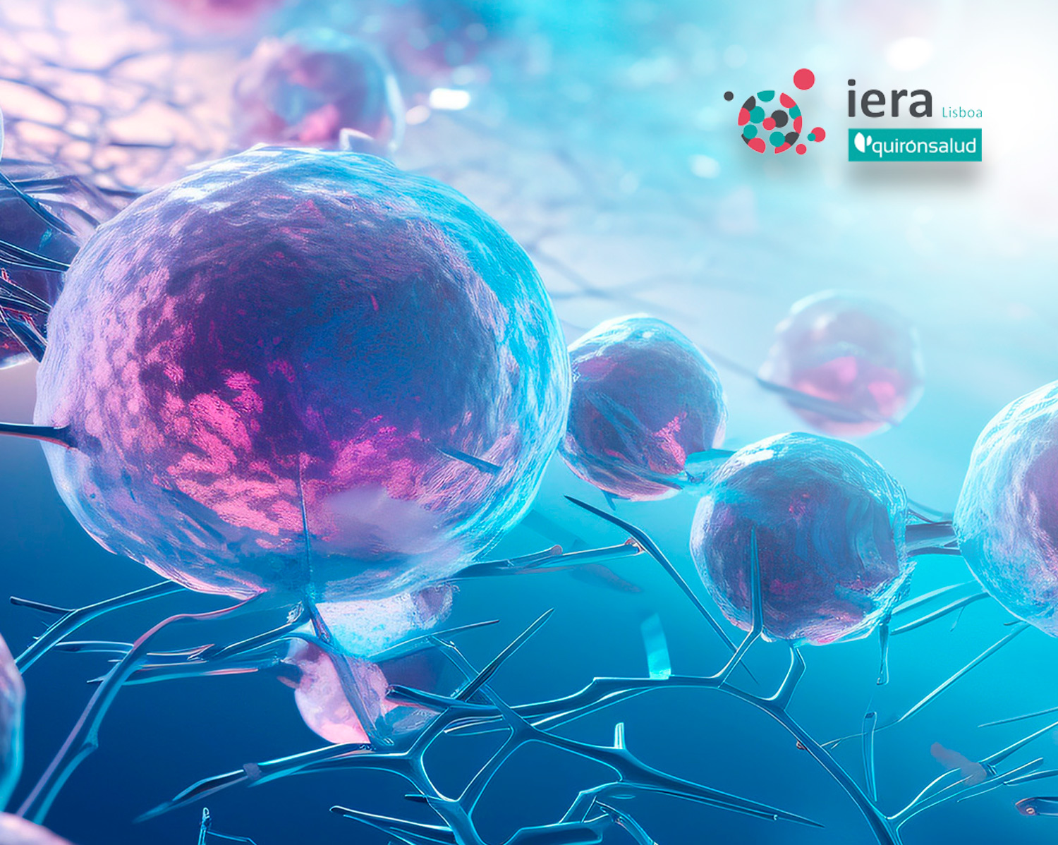 KIR-HLA-C: Teste de compatibilidade imunitária e de tolerância materno-fetal
